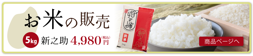 令和6年度田上産新之助5kg
